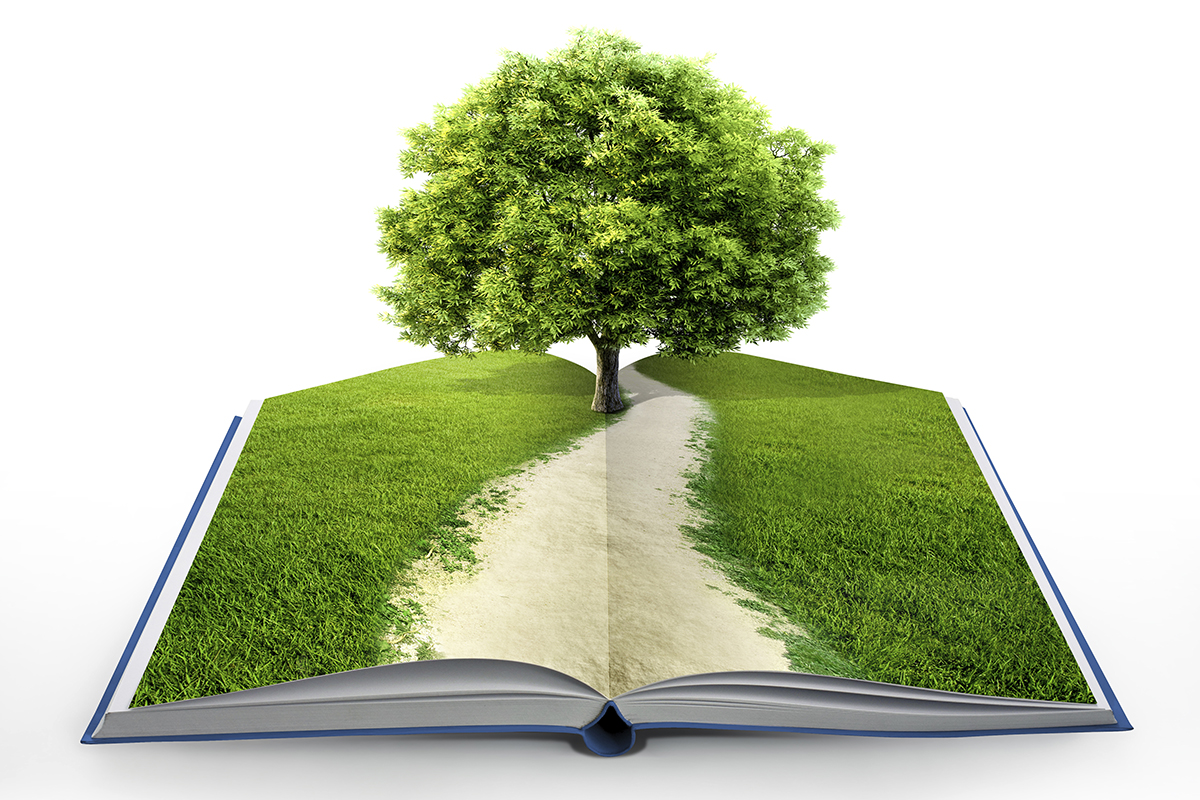 Новые требования  обращения с экологической информацией