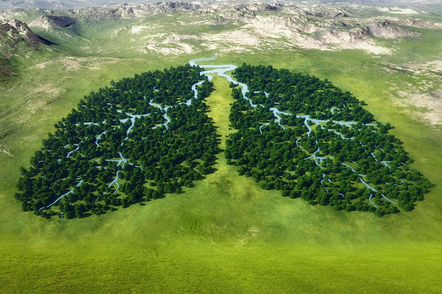 Климатические проекты  как основа низкоуглеродного развития России